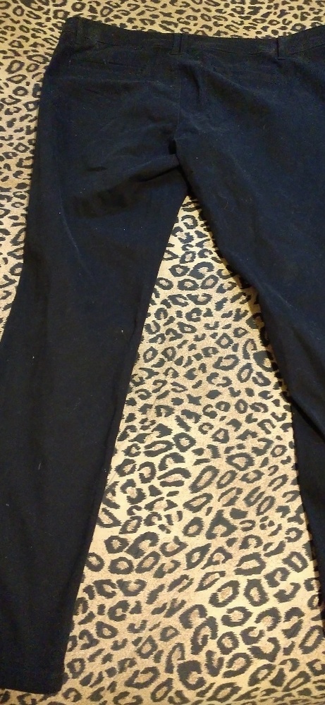 Dress pants